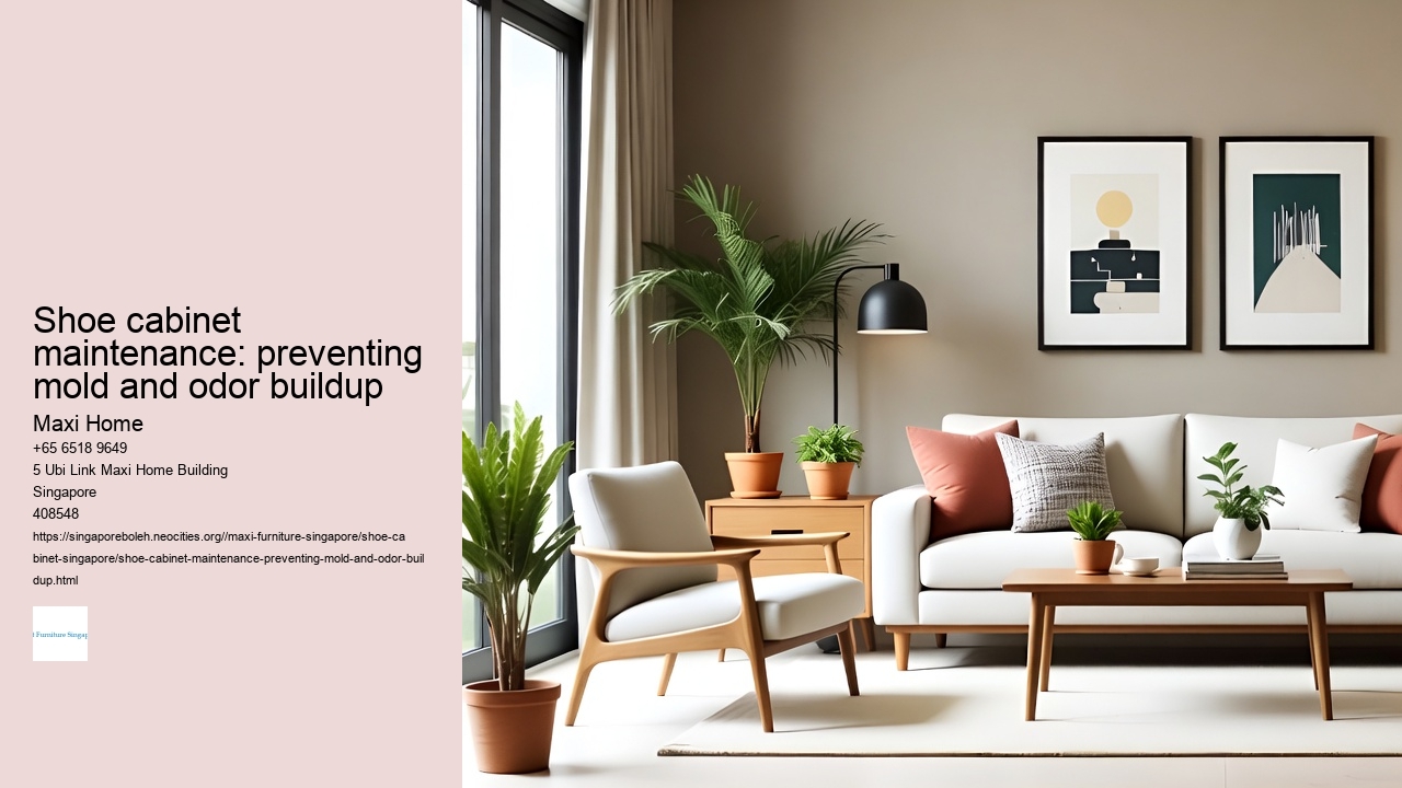 Shoe cabinet maintenance: preventing mold and odor buildup